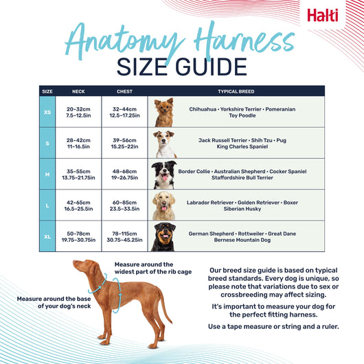 Halti Anatomy Harness, Green, Medium