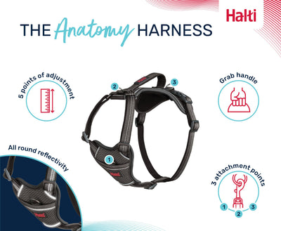 Halti Anatomy Dog Harness, Grey, Large