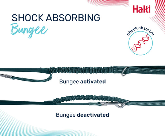 Halti Anatomy Multi Lead, Green, Small