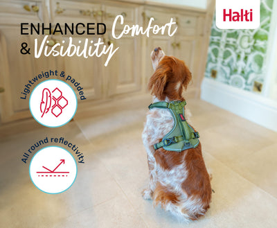 Halti Anatomy Harness, Green, Medium