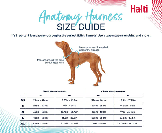 Halti Anatomy Dog Harness, Grey, Large