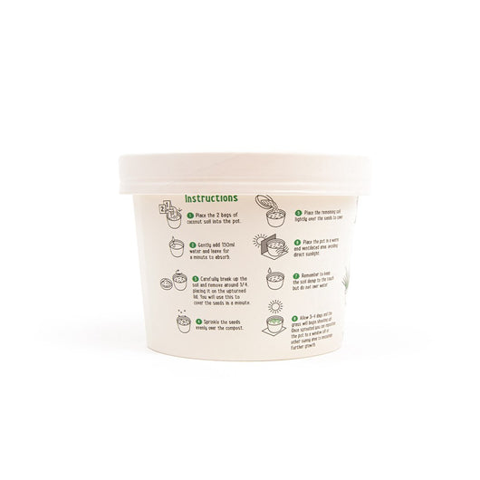 King Catnip Cat Grass Growing Kit, 12g