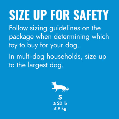 KONG Puppy Flyer Small (17.5cm) Blue/Pink — size up for safety