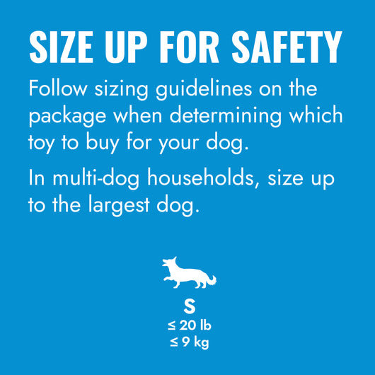 KONG Puppy Flyer Small (17.5cm) Blue/Pink — size up for safety