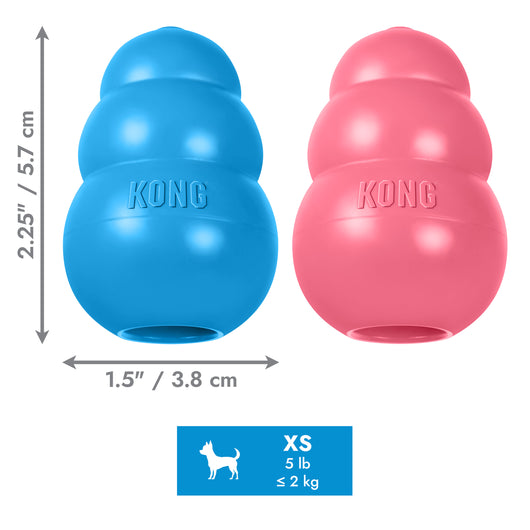 KONG Puppy X-Small (5.5cm) Blue/Pink — dimensions