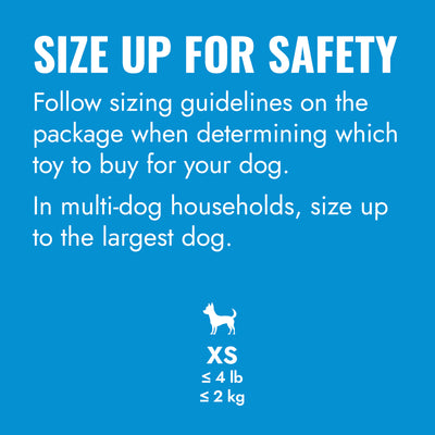 KONG Puppy Goodie Bone w/Rope X-Small Blue/Pink — size up for safety
