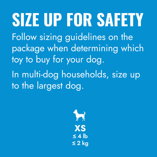 KONG Puppy Goodie Bone w/Rope X-Small Blue/Pink — size up for safety