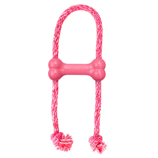 KONG Puppy Goodie Bone w/Rope X-Small Blue/Pink — product