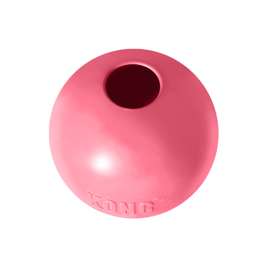 KONG Puppy Ball Small — product