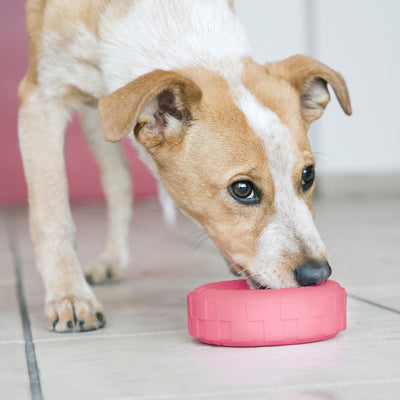 KONG Puppy Tires Small — lifestyle