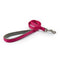 Ancol Viva Nylon Padded Snap Lead Raspberry 19mm x 1m