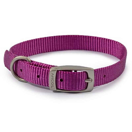 Ancol Viva Buckle Collars Purple 20-26cm Ancol