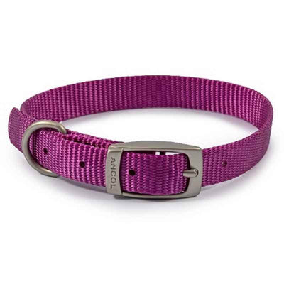 Ancol Viva Buckle Collars Purple 20-26cm Ancol