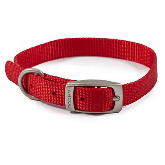 Ancol Viva Buckle Collar Red 20-26cm Ancol
