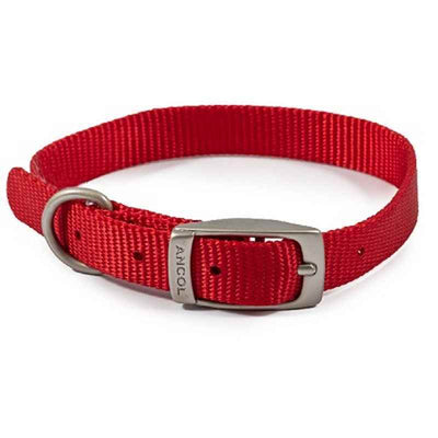 Ancol Viva Buckle Collar Red 26-31cm Ancol