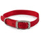 Ancol Viva Buckle Collar Red 26-31cm