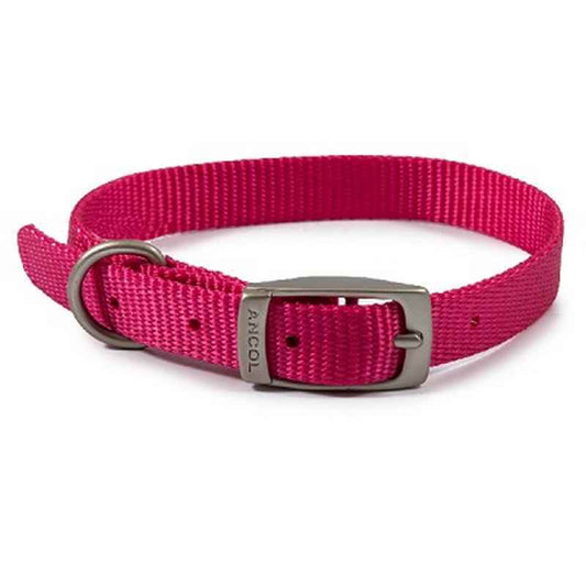 Ancol Viva Buckle Collar Pink 26-31cm Ancol