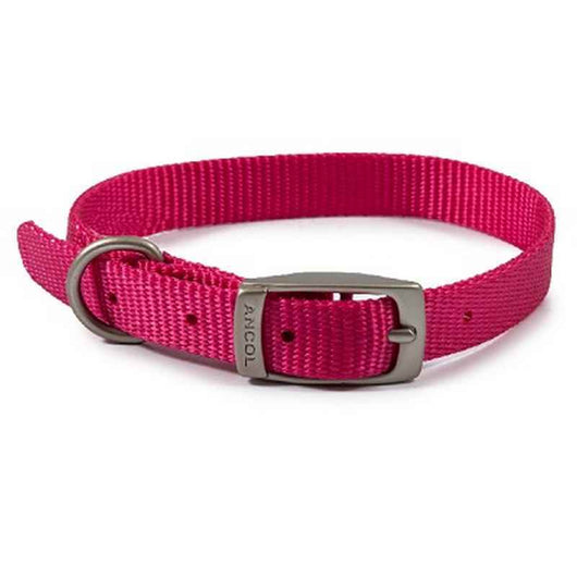 Ancol Viva Buckle Collar Pink 26-31cm Ancol