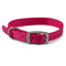 Ancol Viva Buckle Collar Pink 26-31cm