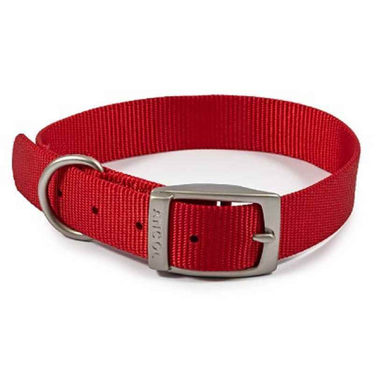Ancol Viva Buckle Collar Red 35-43cm Ancol