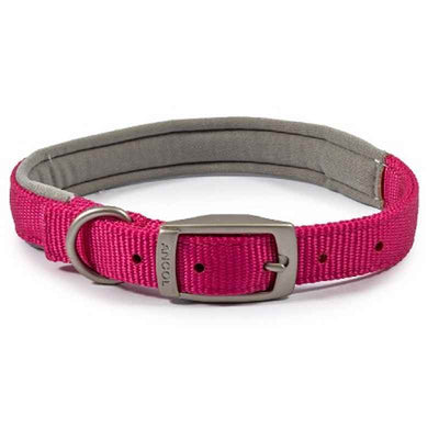 Ancol Viva Padded Buckle Collar Pink 35-43cm Ancol