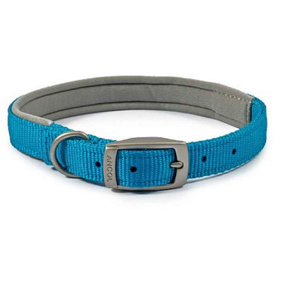 Ancol Viva Padded Buckle Collar Blue 35-43cm Ancol