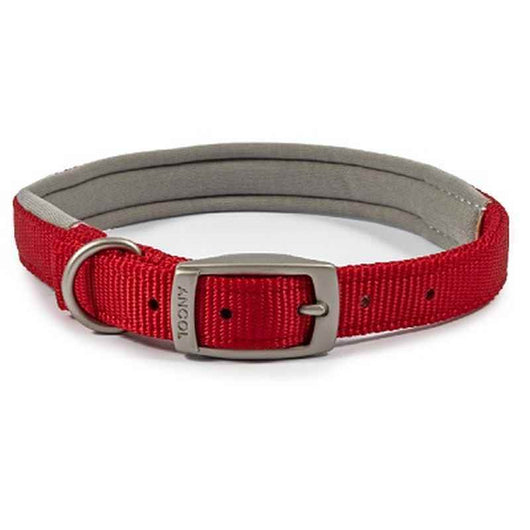 Ancol Viva Padded Buckle Collar Red 39-48cm Ancol