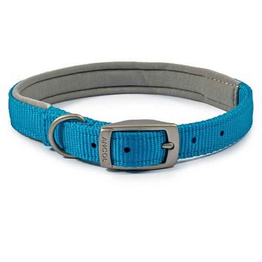 Ancol Viva Padded Buckle Collar Blue 39-48cm Ancol