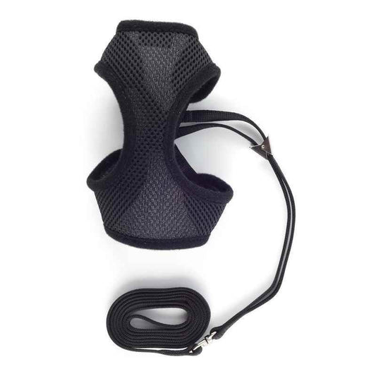 Ancol Cat Soft Harness & Lead Black Medium Ancol