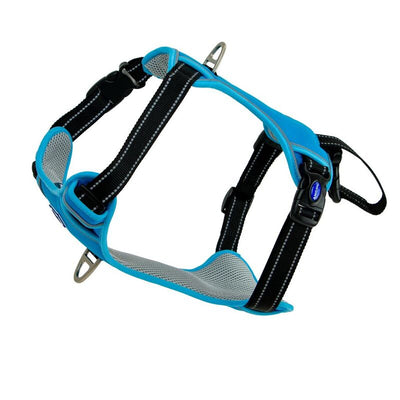 Ancol Viva Exercise & Travel Harness Blue XLarge 80-120cm Ancol