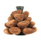Ancol Heritage Peter Pine Cone Dog Toy