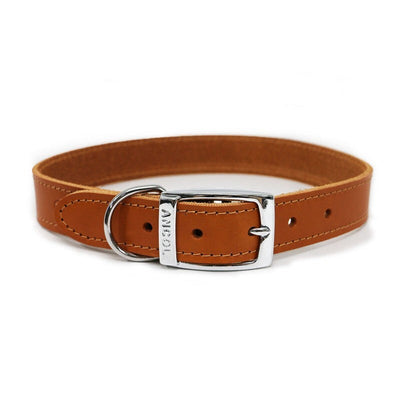 Ancol Classic Tan Sewn Leather Dog Collar 30cm Ancol