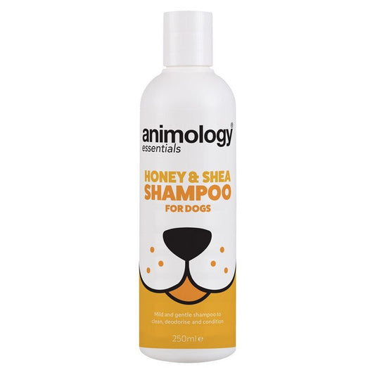 Animology Essentials Honey & Shea Shampoo for Dogs 250ml x 5 Animology