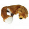 Good Boy Raggy Fox Dog Toy x 6
