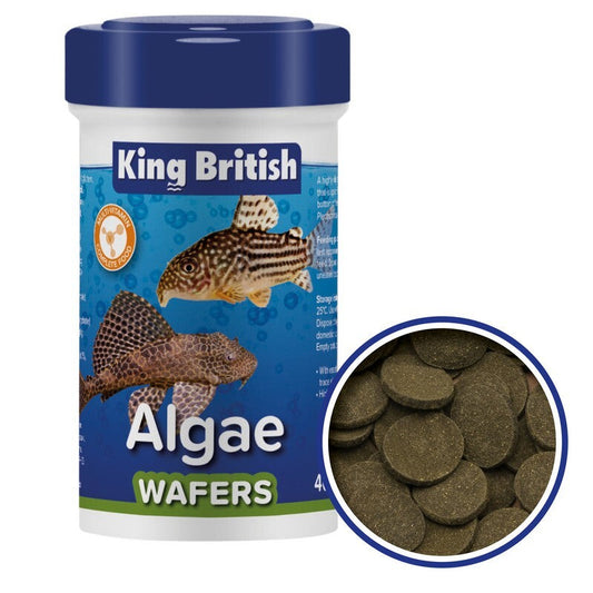 King British Algae Wafer 40g x 6 King British