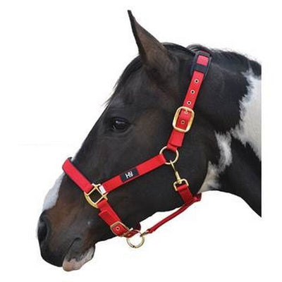 Hy Deluxe Padded Head Collar Red Full Hy
