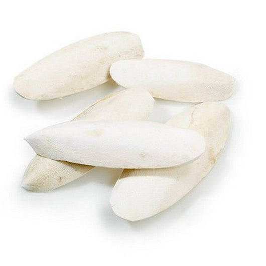 Classic Cuttlebones 2.27kg Classic