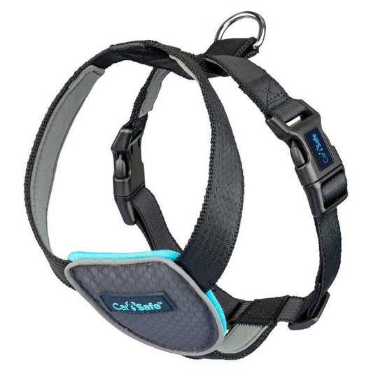 CarSafe Dog Travel Harness Black XSmall Company of Animals