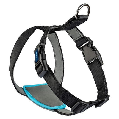 CarSafe Dog Travel Harness Black Small Company of Animals