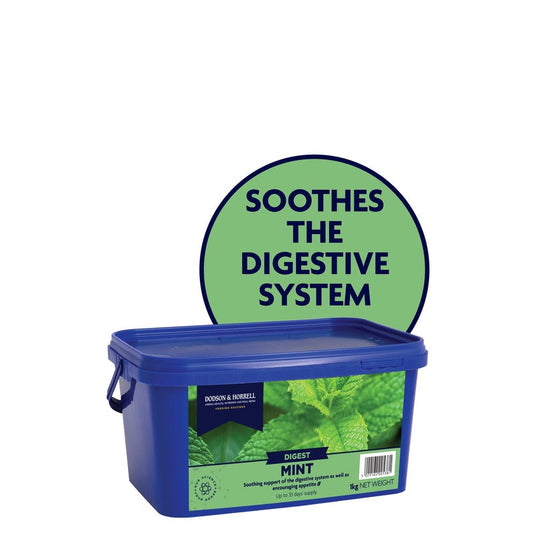 Dodson & Horrell Mint 1kg Dodson & Horrell