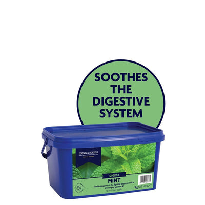 Dodson & Horrell Mint 1kg Dodson & Horrell