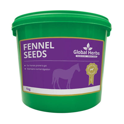 Global Herbs Fennel 1kg Global Herbs