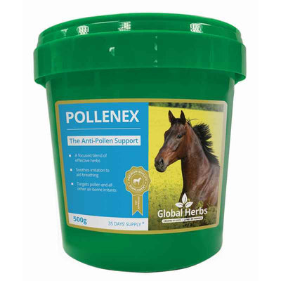 Global Herbs PollenEx 500g Global Herbs