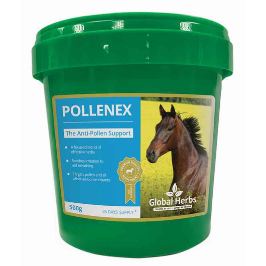 Global Herbs PollenEx 500g Global Herbs