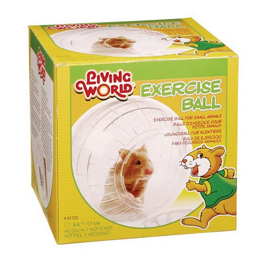 Hagen Living World Exercise Ball Medium Living World