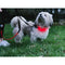 Lilly and Jake LED Dog Lead Red