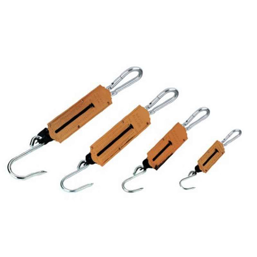 Westgate Traditional Spring Balance 25kg Earlswood Supplies