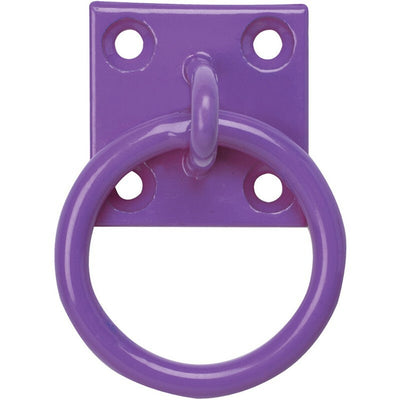 Tie Ring on Plate Purple x 10 Perry Equestrian