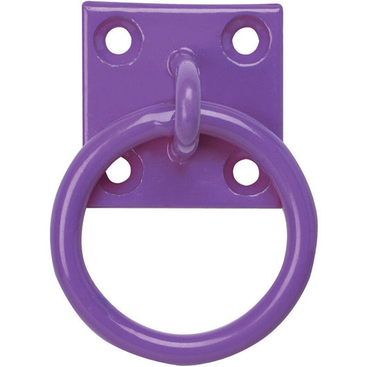 Tie Ring on Plate Purple x 10 Perry Equestrian