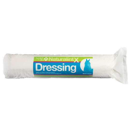 NAF NaturalintX Dressing 500g NAF